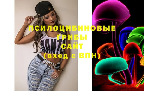 МДПВ Алексеевка